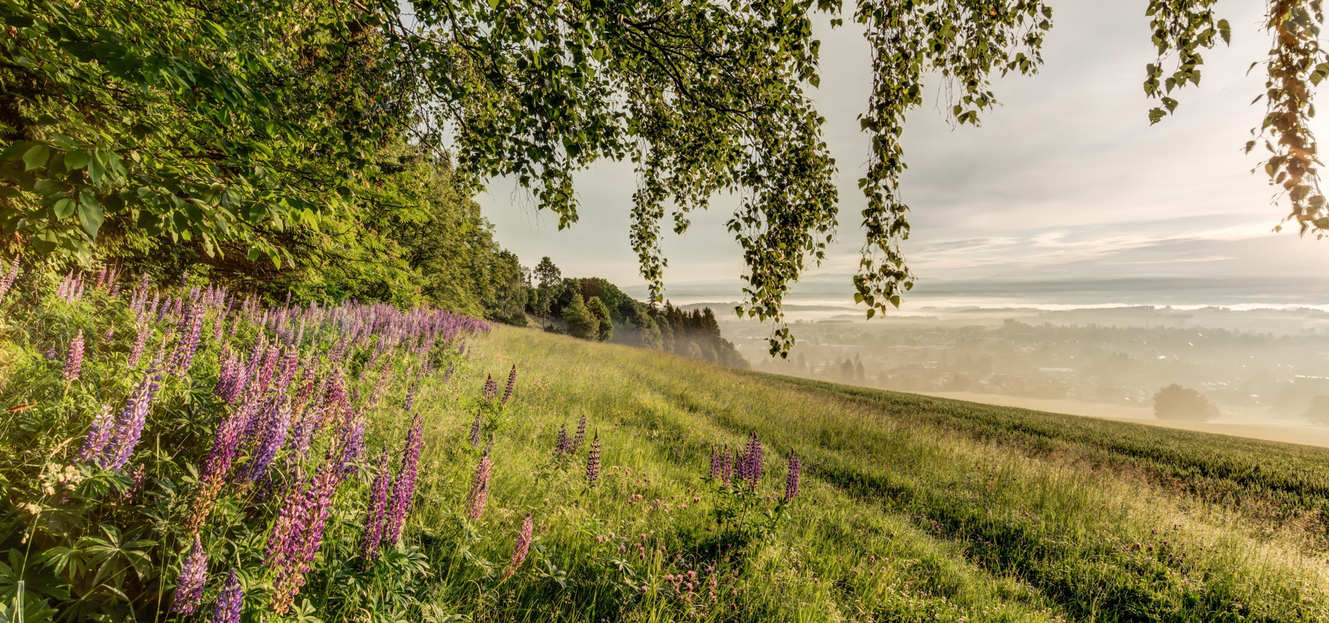 Wellness apartmány Český ráj & biokolna